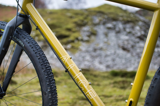 Pipedream Cycles A.L.I.C.E. frame and fork review - Cycling News